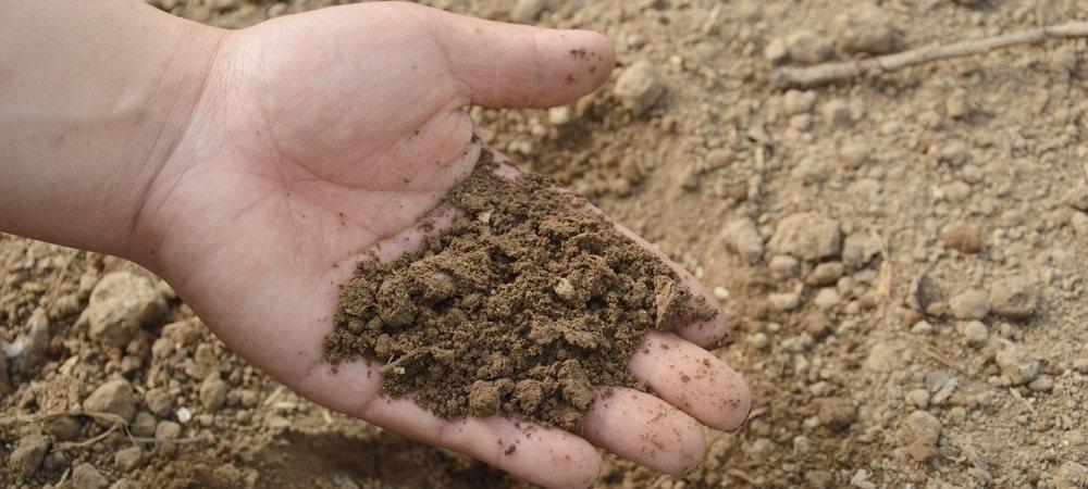 hand testing soil